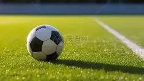 大乐透期号解析：专家推荐质合分析，前区十码预测青岛对阵辽宁